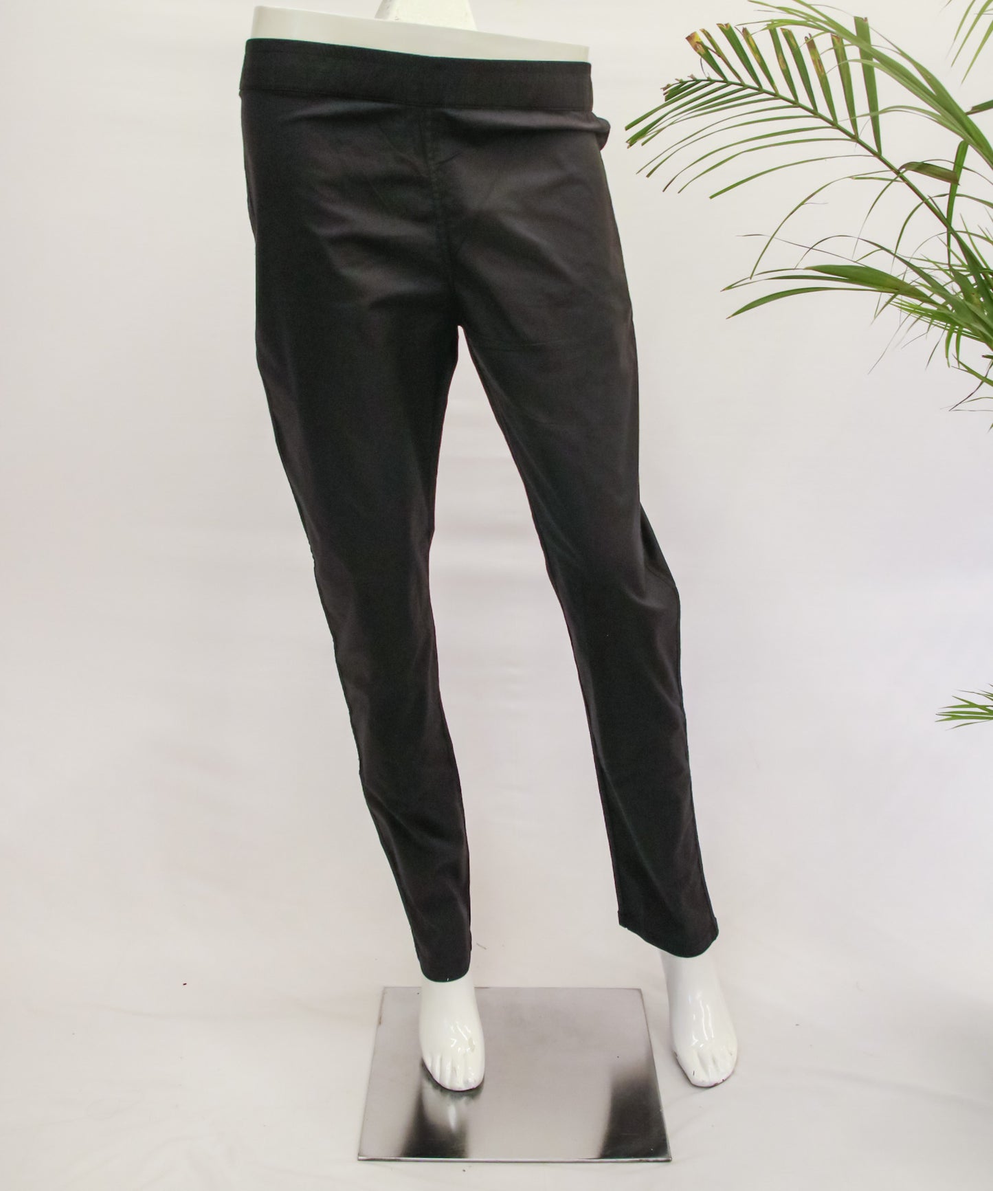 Cotton Black Straight Pant